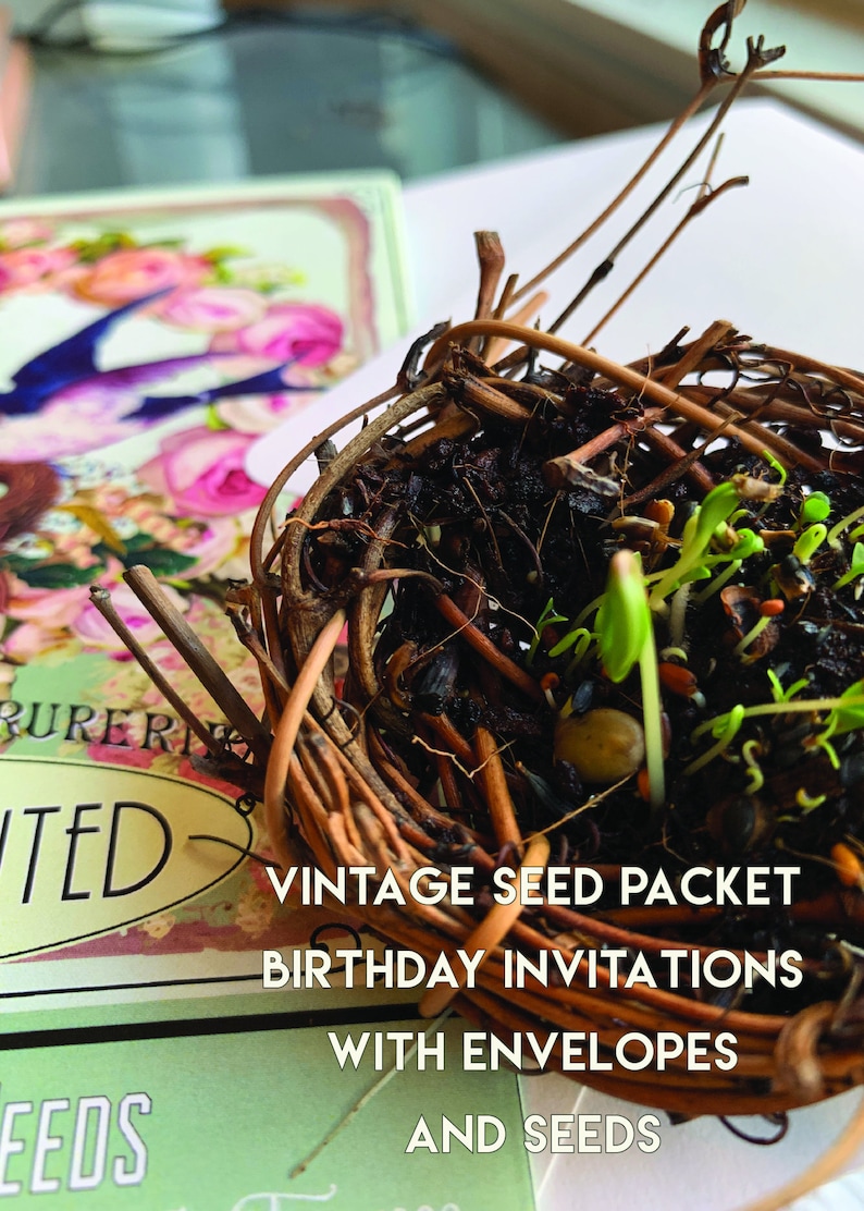 Vintage Seed Packet Birthday Party Invitation Floral Seeds Etsy