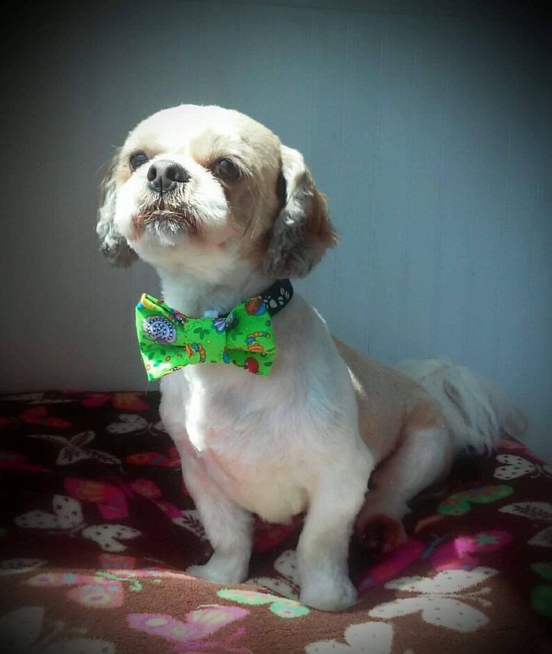 Christmas Present dog bow tie