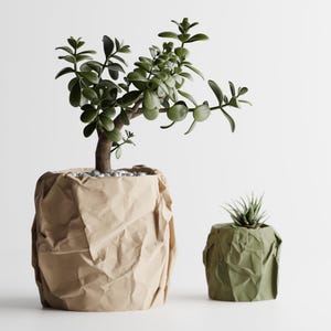 Maceta de papel arrugado / Maceta de escritorio minimalista moderna con textura