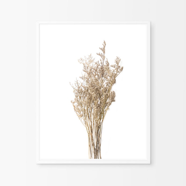 wild minimalist wild minimalist
