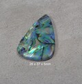 Paua Shell Cabochon Doublet
