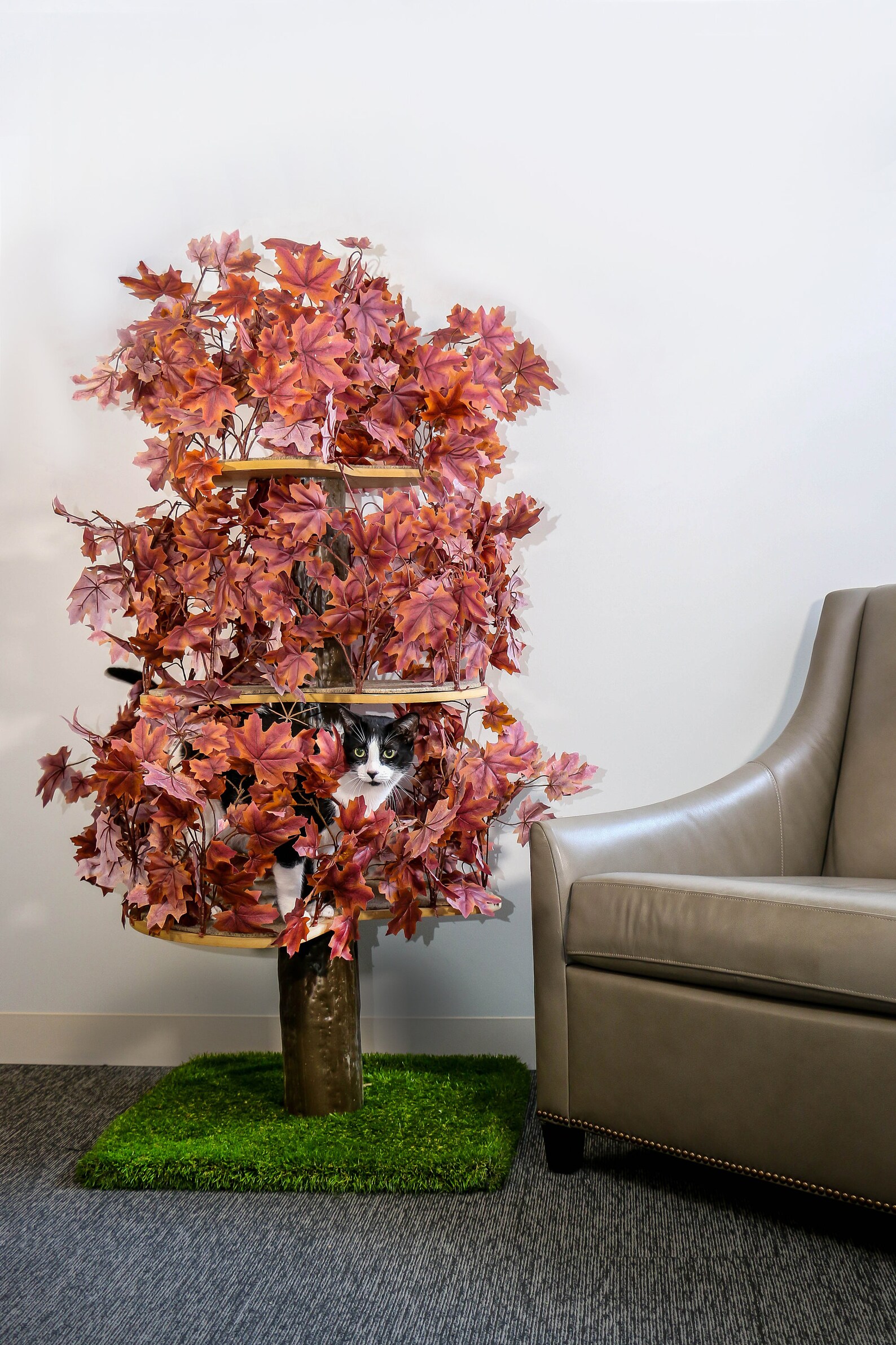 On2 Pets Cat Tree With Leaves Made in USA Cat House & Cat Etsy
