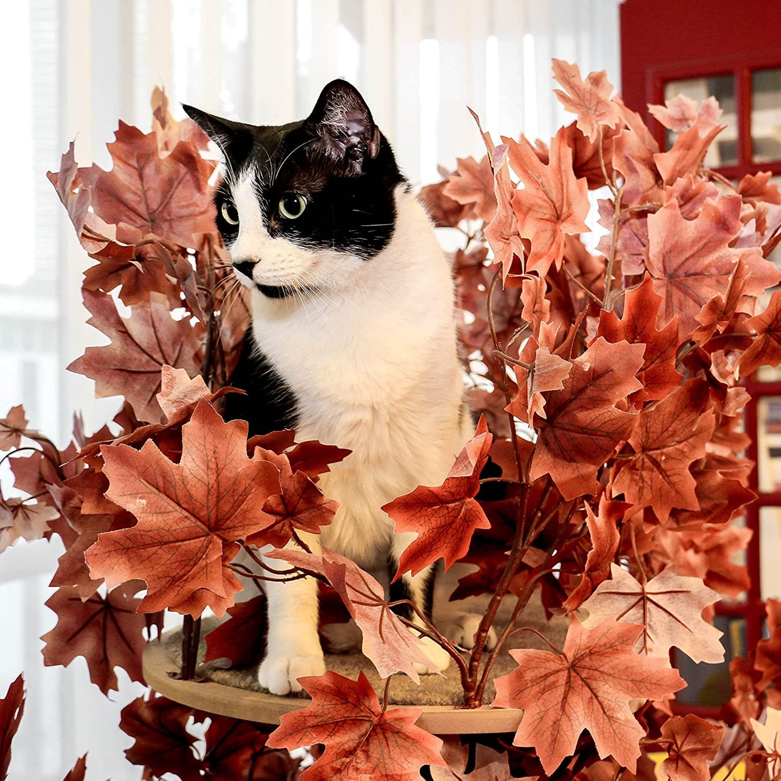 On2 Pets Cat Tree With Leaves Made in USA Cat House & Cat Etsy