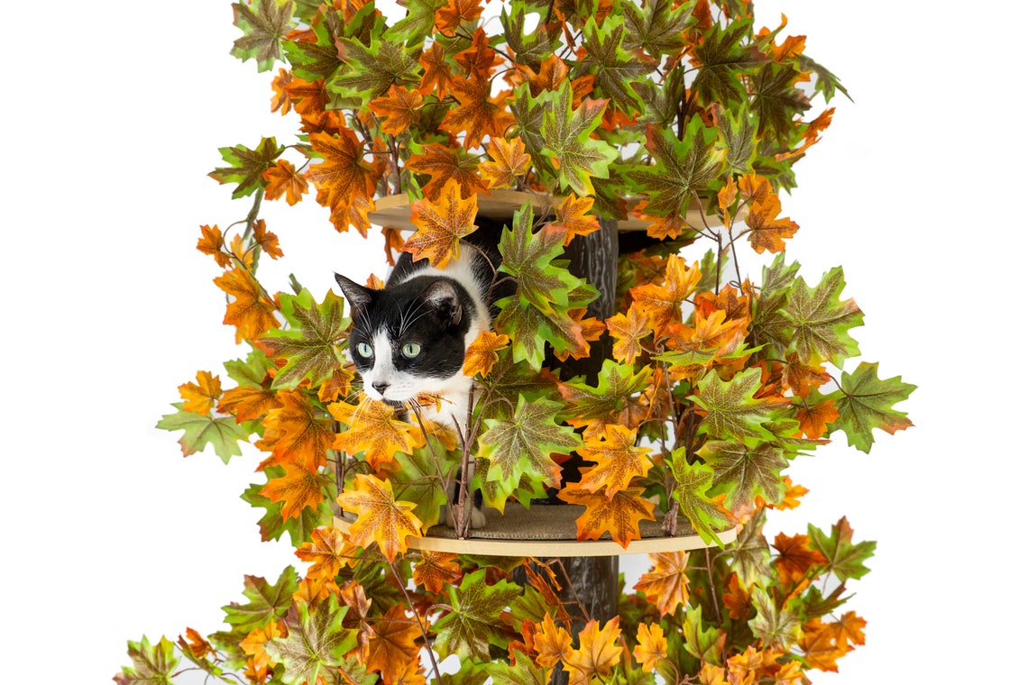 On2 Pets Cat Tree With Leaves Made in USA Cat House & Cat Etsy