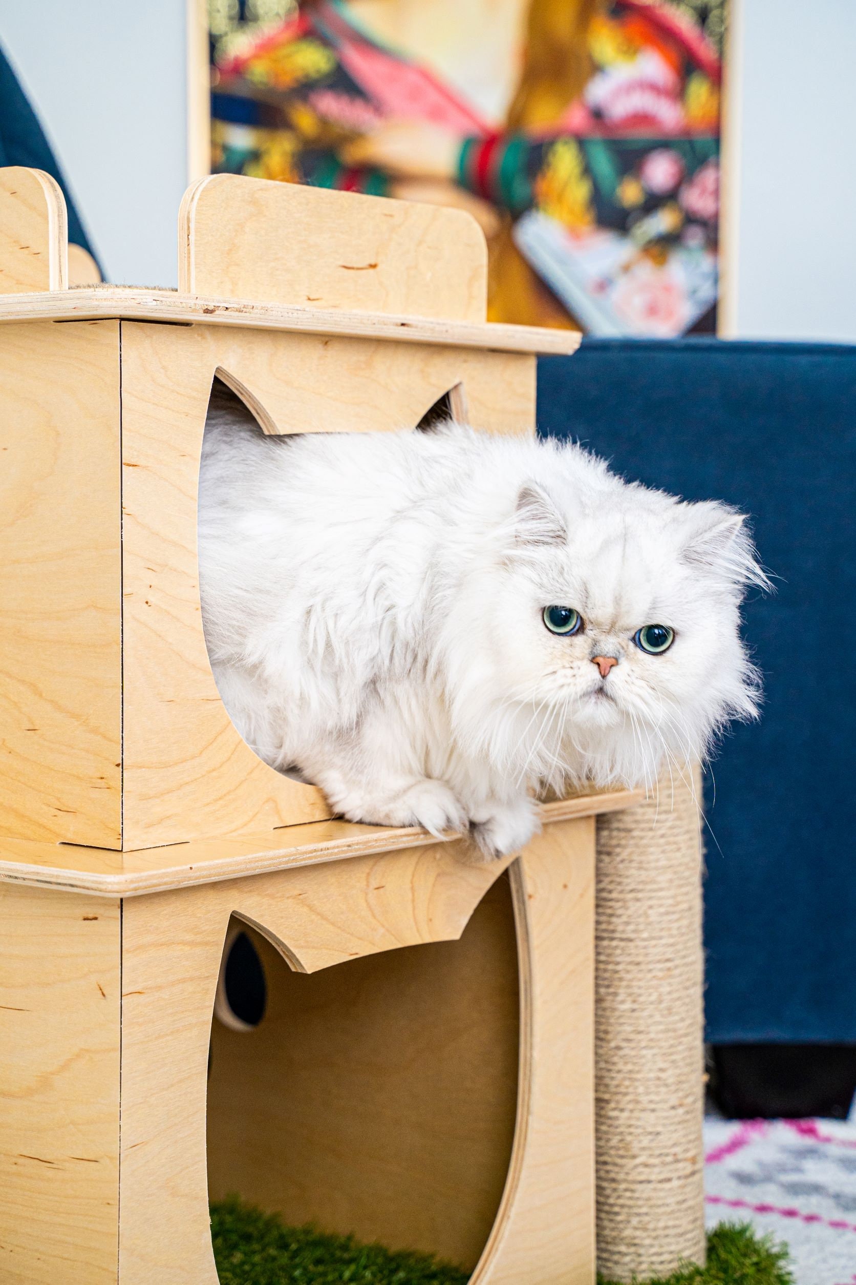 On2 Pets Cat Activity Loft W/scratching Post Modular Cat Etsy