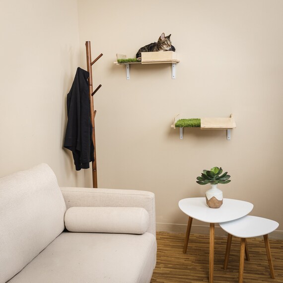 Indoor hot sale cat shelves