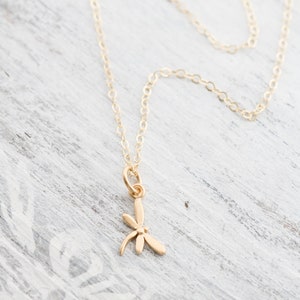 May include: A delicate gold necklace with a dragonfly pendant. The chain is a simple, fine link style.