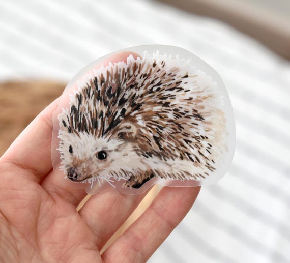 Clear hedgehog sticker, Cute hedgehog sticker for water bottle, laptop, phone, Weatherproof vinyl sticker,  Transparent hedgehog sticker