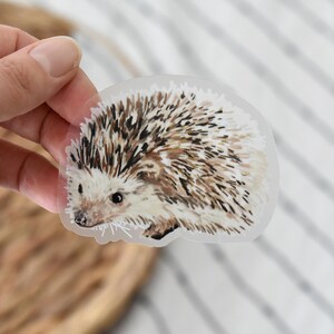 May include: A clear sticker with a detailed illustration of a brown and white hedgehog with black eyes. The hedgehog is facing the left side of the image.