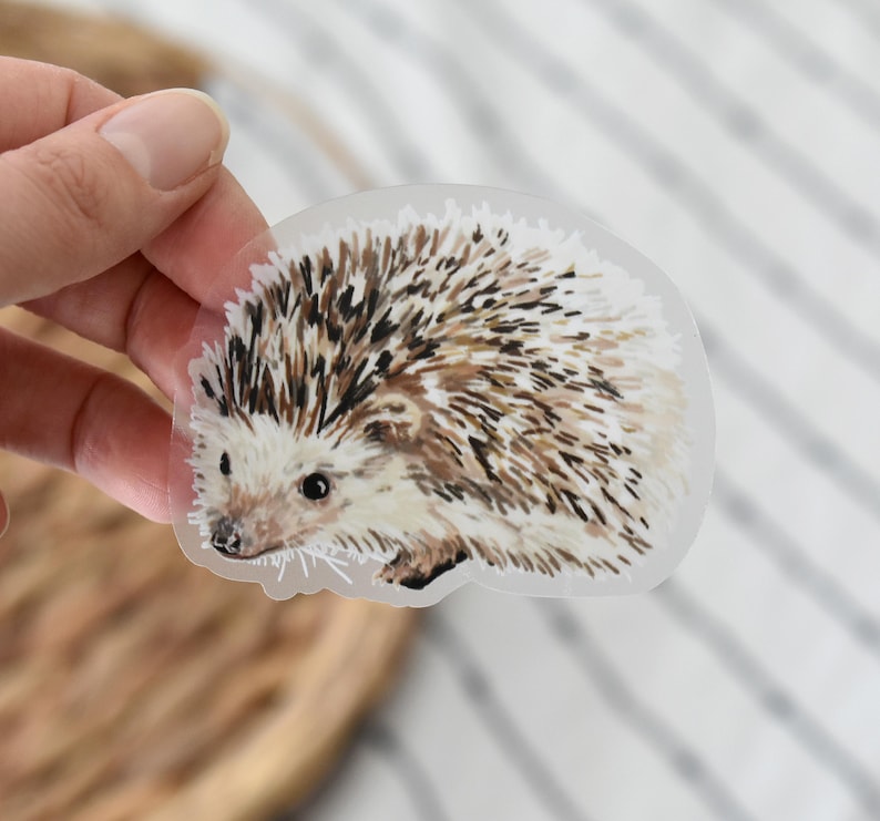 May include: A clear sticker with a detailed illustration of a brown and white hedgehog with black eyes. The hedgehog is facing the left side of the image.