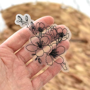 K&ouml;nnte beinhalten: Ein transparenter Aufkleber mit einer feinen schwarzen Strichzeichnung von Kirschbl&uuml;ten und Knospen an einem Zweig. Das Motiv ist auf durchsichtigem Material gedruckt, wodurch der Untergrund hinter dem Aufkleber sichtbar bleibt.