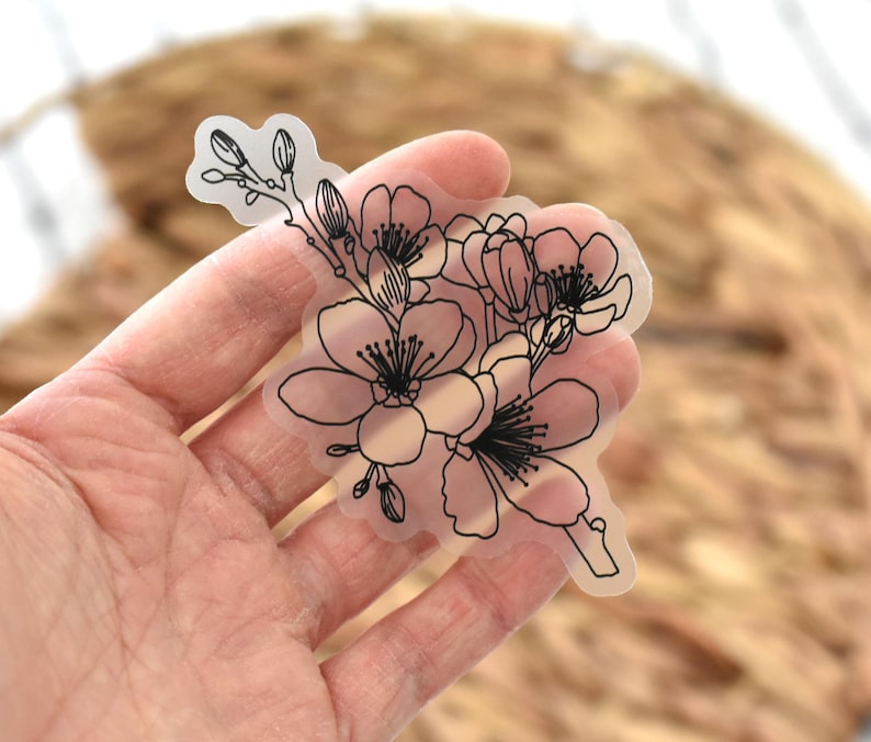 K&ouml;nnte beinhalten: Ein transparenter Aufkleber mit einer feinen schwarzen Strichzeichnung von Kirschbl&uuml;ten und Knospen an einem Zweig. Das Motiv ist auf durchsichtigem Material gedruckt, wodurch der Untergrund hinter dem Aufkleber sichtbar bleibt.