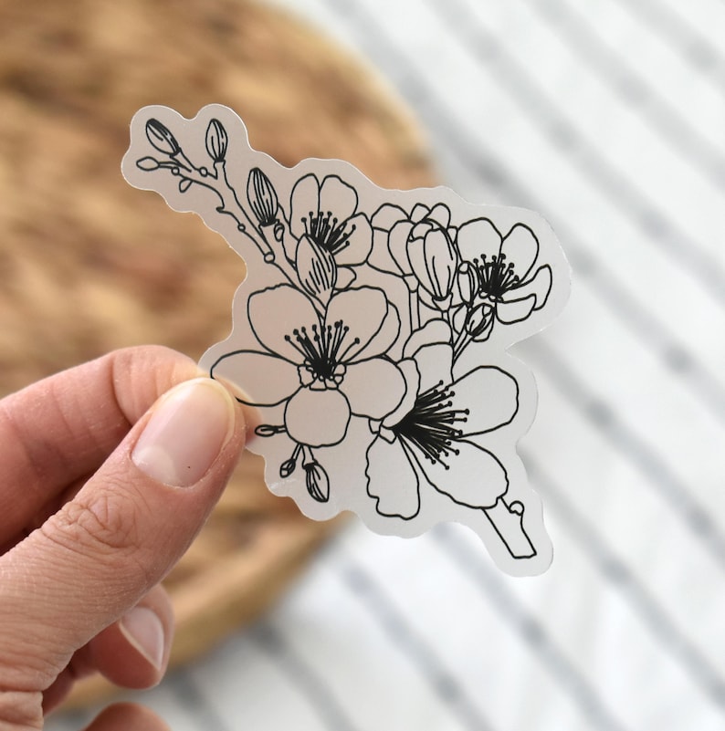 K&ouml;nnte beinhalten: Ein transparenter Aufkleber mit einer schwarzen Strichzeichnung eines Kirschbl&uuml;tenzweigs mit mehreren offenen Bl&uuml;ten und geschlossenen Knospen. Das Design ist auf transparentem Material gedruckt und zeigt die feinen floralen Details.