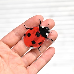 Könnte beinhalten: Ein durchsichtiger Aufkleber mit einem Marienkäfer, der leuchtend rote Flügeldecken mit schwarzen Punkten und einen soliden schwarzen Kopf mit weißen Markierungen aufweist. Die Insektenillustration ist in einem flachen Grafikstil mit transparentem Rand gehalten.