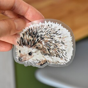 May include: A clear sticker with a hand-painted illustration of a brown and white hedgehog with a black nose.