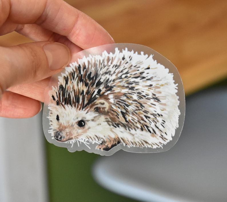 May include: A clear sticker with a hand-painted illustration of a brown and white hedgehog with a black nose.