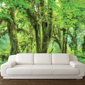 CARTA DA PARATI DELLA FORESTA MAGICA, Stampa albero verde, Decorazione della foresta incantata, Stacca e incolla, Decorazione della parete sopra il letto, Regalo di inaugurazione della casa, Murale naturale