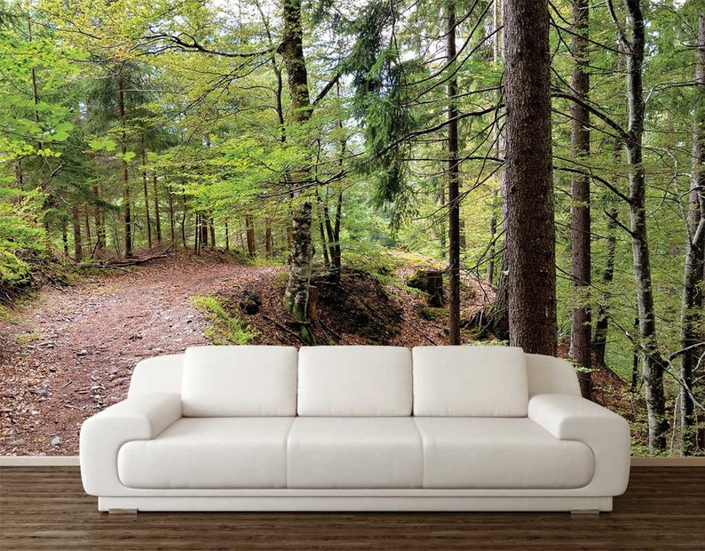 Wallpaper Trees Mural Wallpaper Forest Wallpaper Forest Etsy