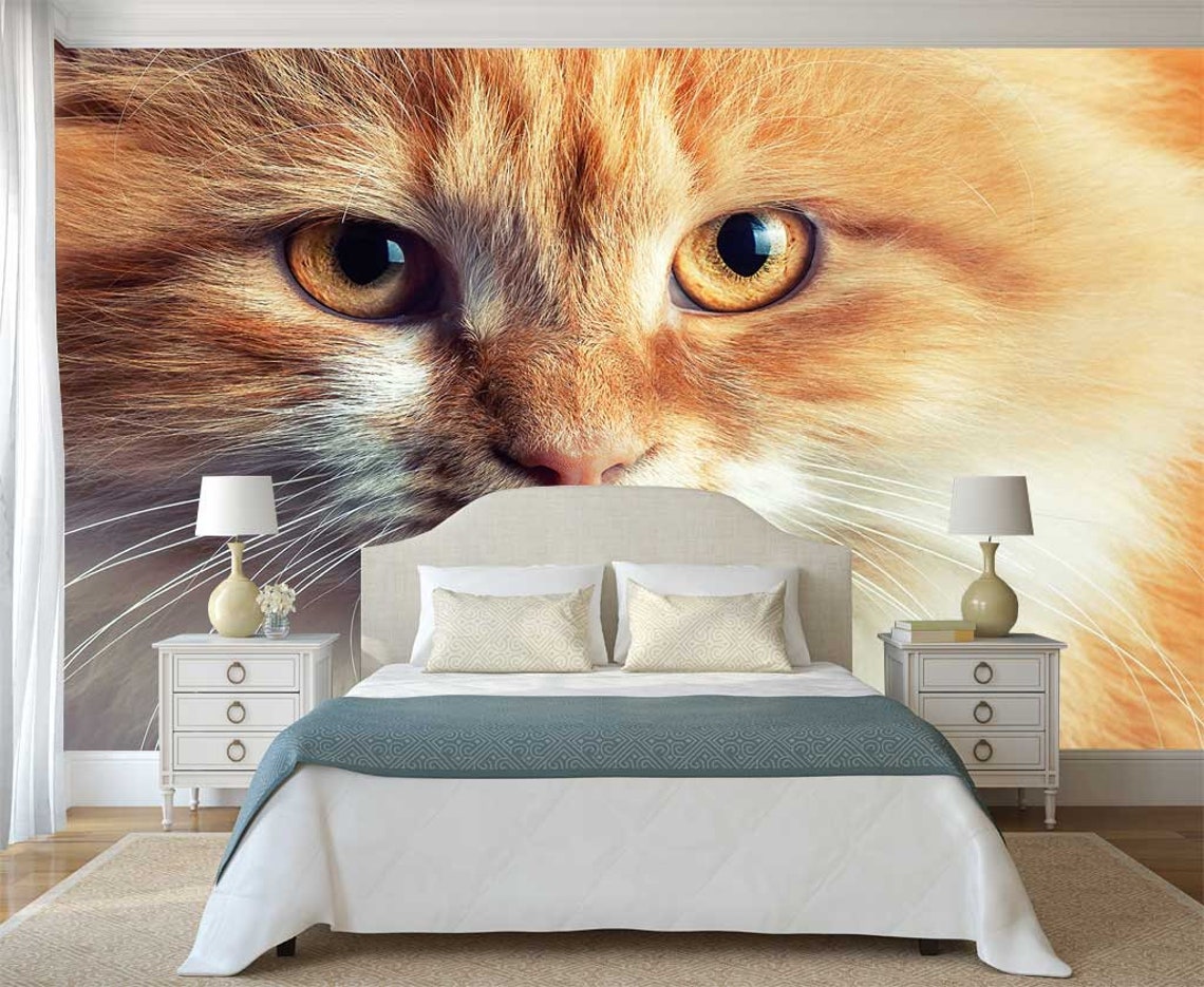 Wall Mural Cat Wallpaper Animals Vinyl Peel and Stick Self - Etsy