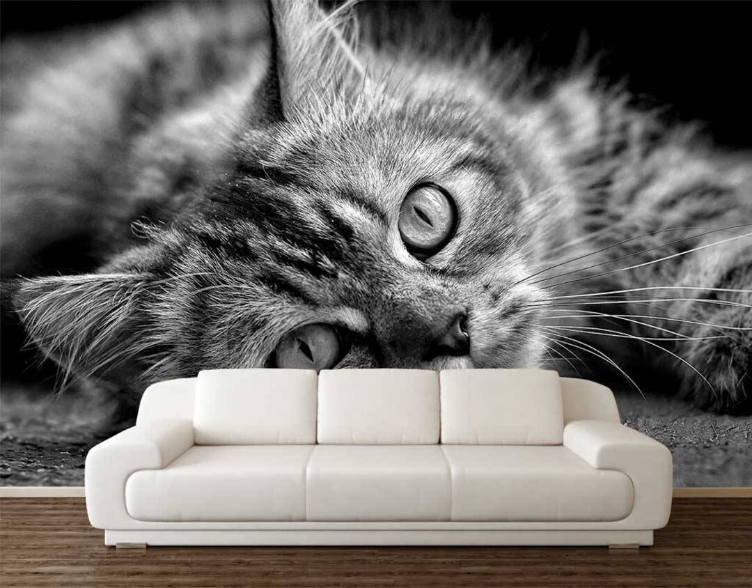 Cat Sticker, CAT WALL ART, Black and White, Cat Wall Décor, Cat