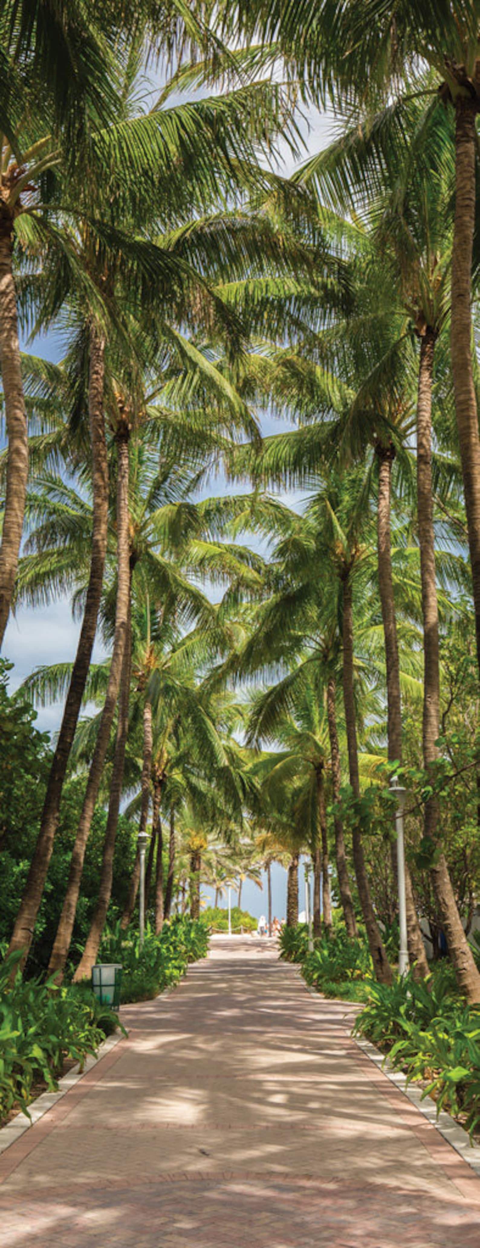 Tropical Door Mural Door Decal Self Adhesive Door Decal Etsy