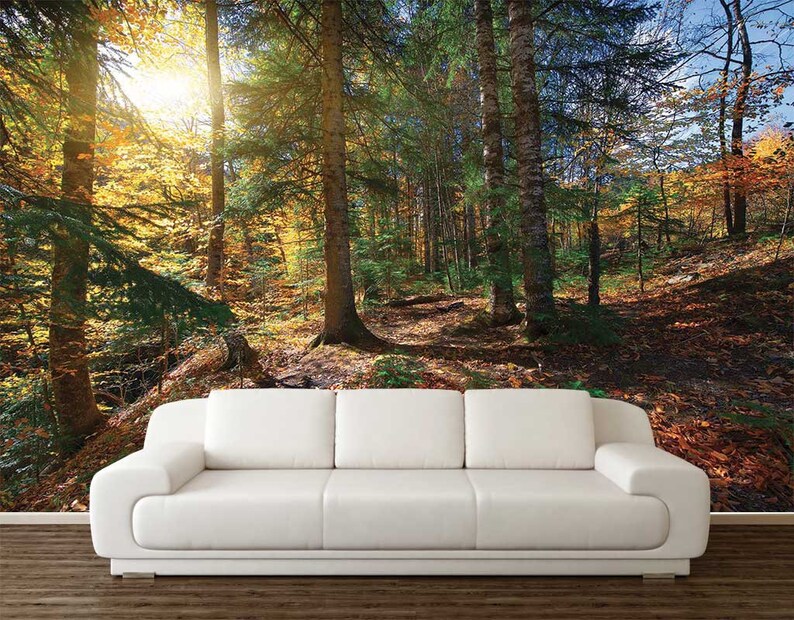 Forest Wall Decal Nature Wall Mural Peel and Stick Wall Art Etsy