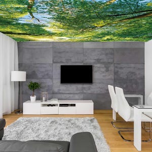 May include: A modern living room with a nature-themed ceiling mural depicting a forest canopy. The room features a gray sectional sofa, a white entertainment center, a TV, and a dining table with white chairs. A fluffy gray rug covers the floor.