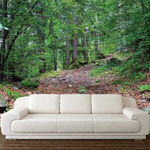 Nature Wall Covering, CHOOSE SIZE, Forest Wall Art, WOODS Wallpaper, Trees Wall Decor, Autumn Wall Tapestry, Peel And Stick, Personalized