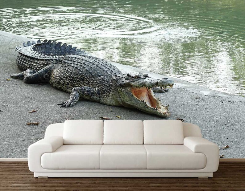Crocodile Wallpaper Wall Mural Crocodile Vinyl Peel And | Etsy