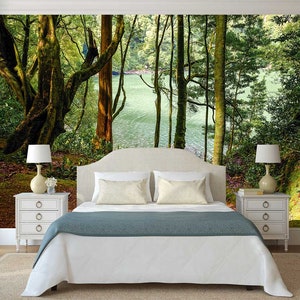 PAPIER PEINT FORÊT, décoration forestière, art mural forêt, papier peint autocollant, art mural nature, sticker mural arbre forêt, sticker arbre forêt
