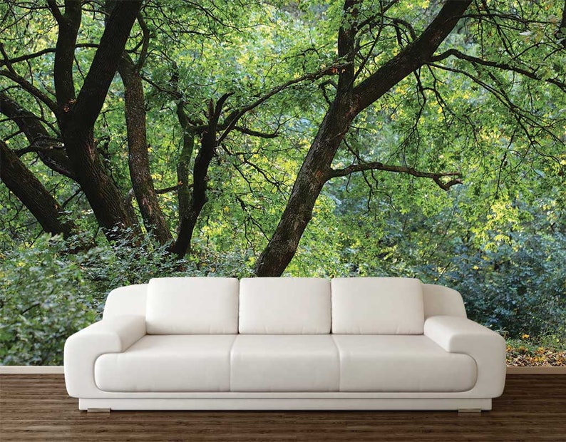 Wallpaper Trees Wallpaper Forest Woods Wall Mural Wall Etsy
