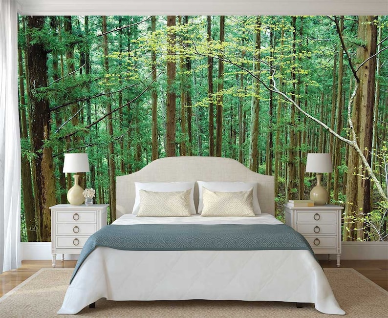 Wallpaper Forest Trees Wall Mural Wall Mural Woods Etsy