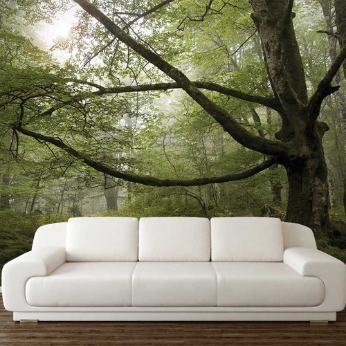 Garden Scene Wall Mural Garden Wallpaper Wall Decal Garden Etsy