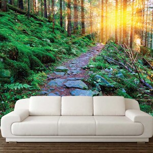 Sunset in The Forest Wallpaper, SUNNY FOREST WALL Covering, Sun Wall Art, Green Woods Wall Decor, Peel And Stick, Nature Wall Tapestry