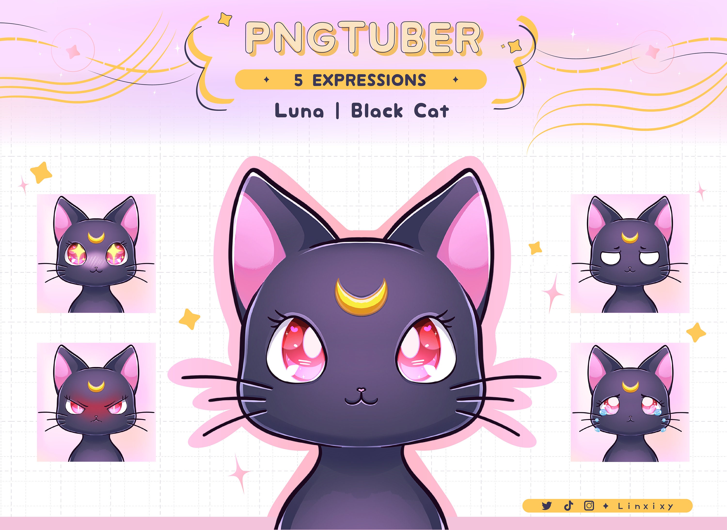 Premade Pngtuber Black Cat Luna Sailor Moon Stream 5 Expressions OBS Voice  Reactive Twitch Streamer Png-tuber - Etsy