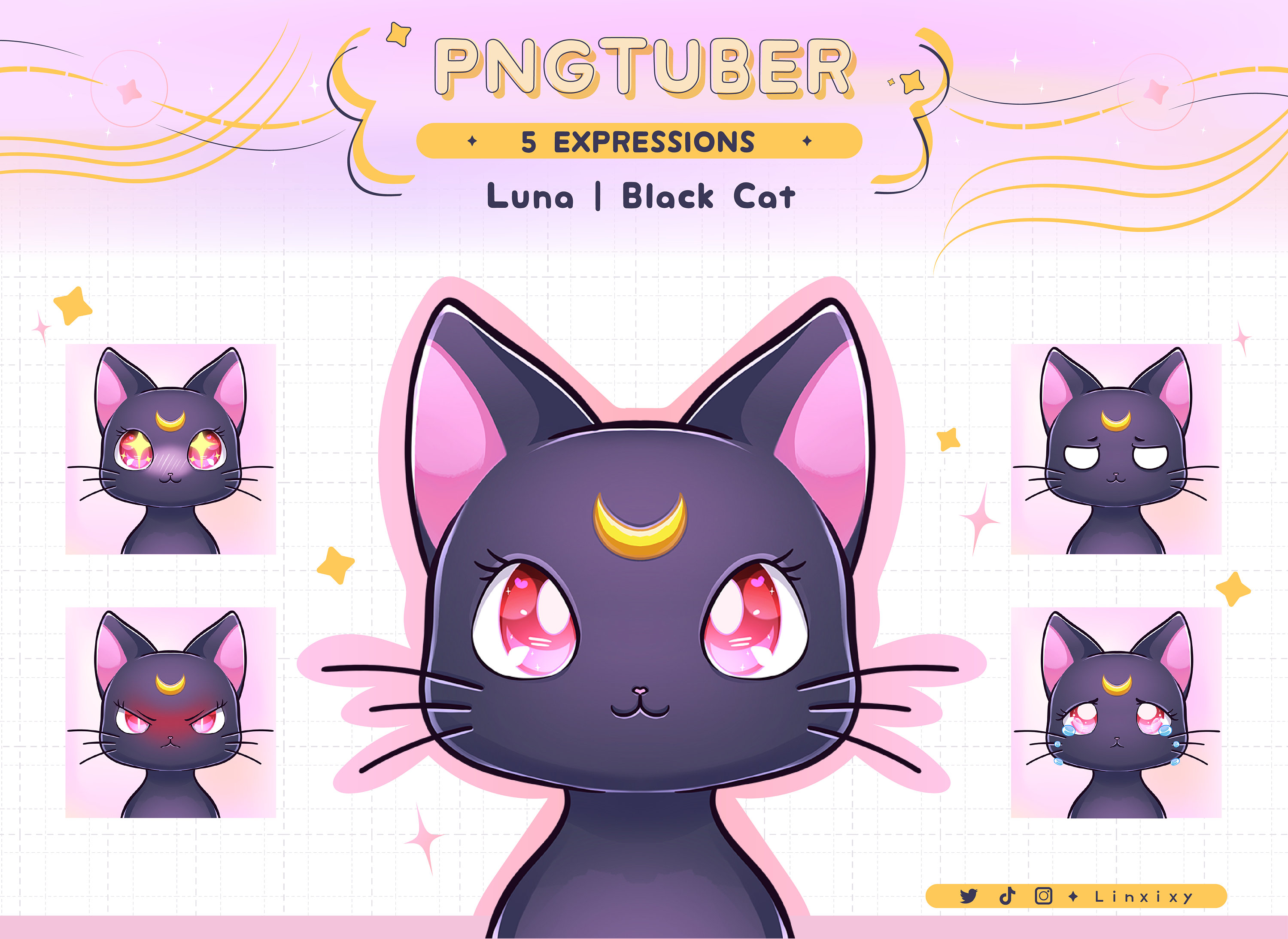 Premade Pngtuber Black Cat Luna Sailor Moon Stream 5 Expressions OBS Voice  Reactive Twitch Streamer Png-tuber - Etsy