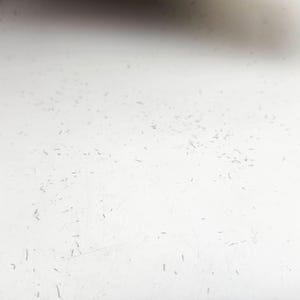 May include: A close-up shot of a white surface with small, dark debris scattered across it. The surface appears to be slightly textured, with subtle imperfections and a gradient of light and shadow.