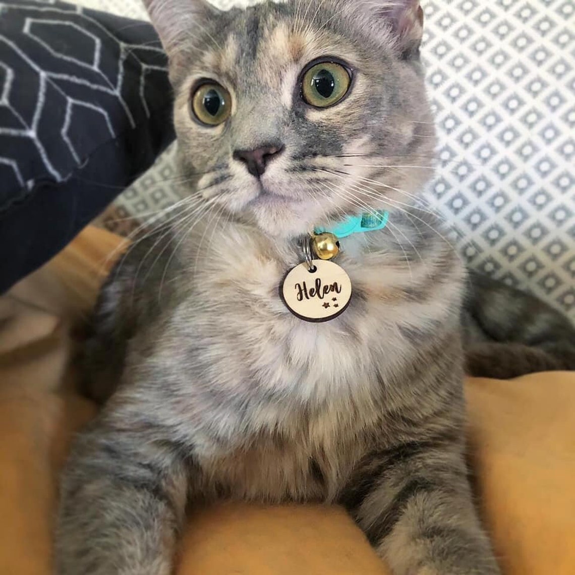 Cat Name Tag Custom Engraved Cat Tag Wooden Cat Tag Etsy