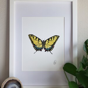 Gelber Schmetterling