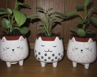 Dolomite cute cat plant pots,choice of 3 available
