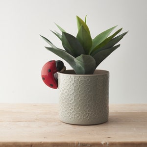 May include: A grey ceramic planter with a repeating pattern, featuring a red ladybug figurine on the side. A green succulent plant is growing in the planter.