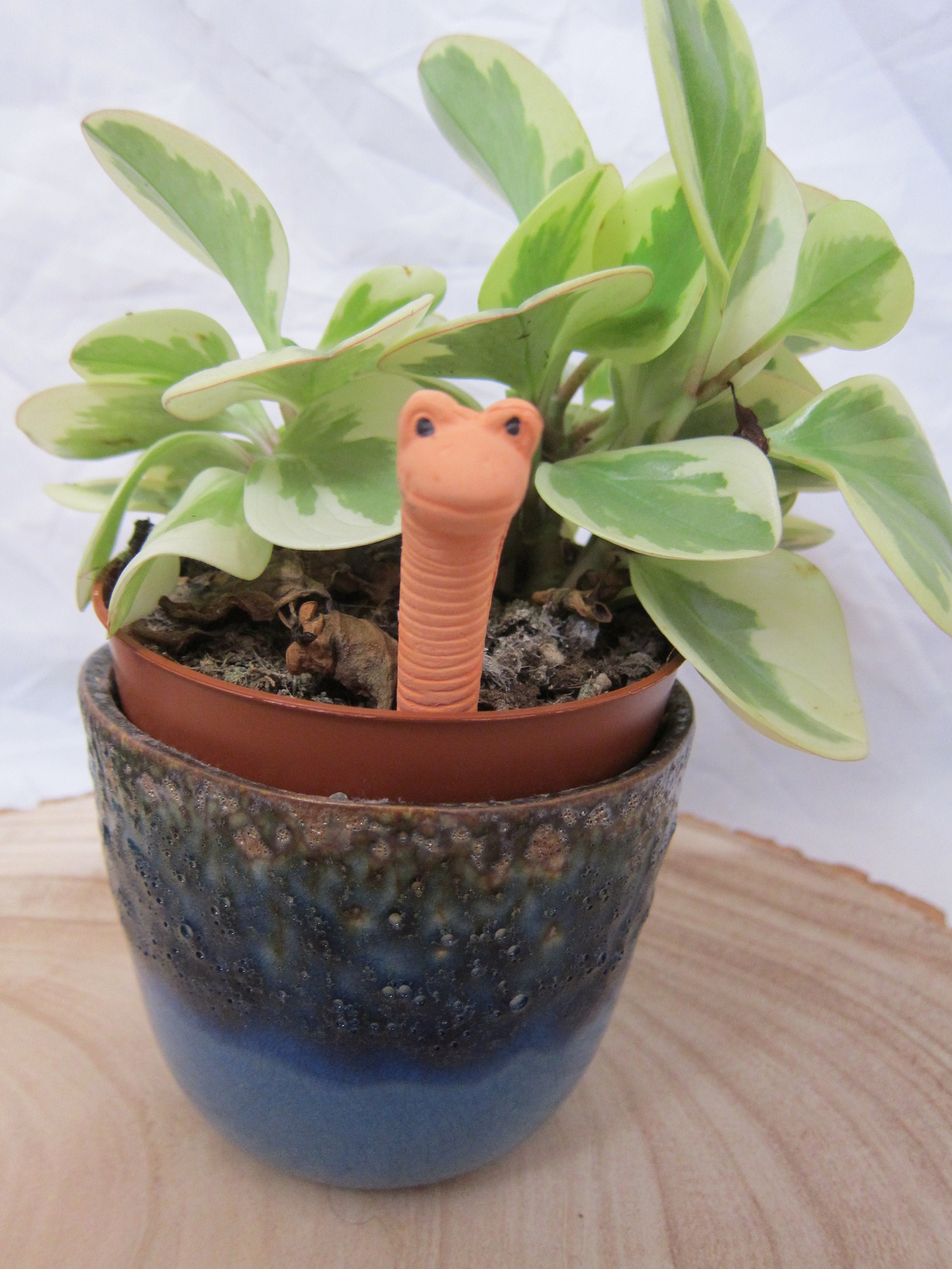 Klein Willy Die Wurm Wasser Sensor Pack 5 - DE