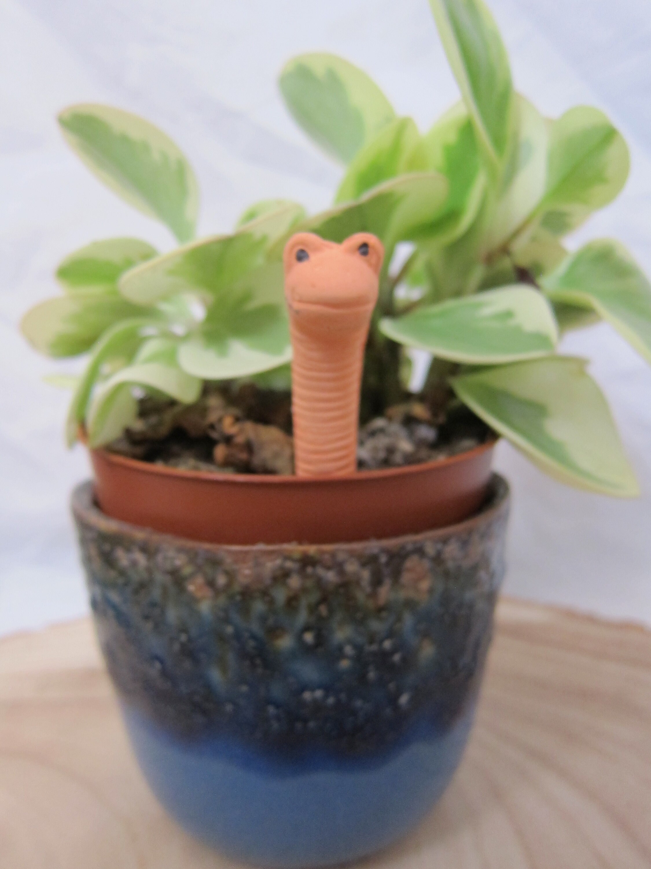 Tekenfilm Met Een Kleine Kip Etende Worm Vector Illustratie