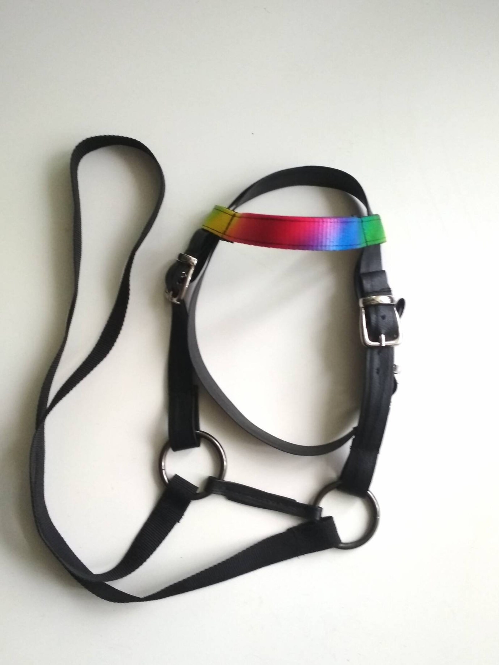 Black and rainbow Hobby horse bridle Bridle for hobby horse Etsy
