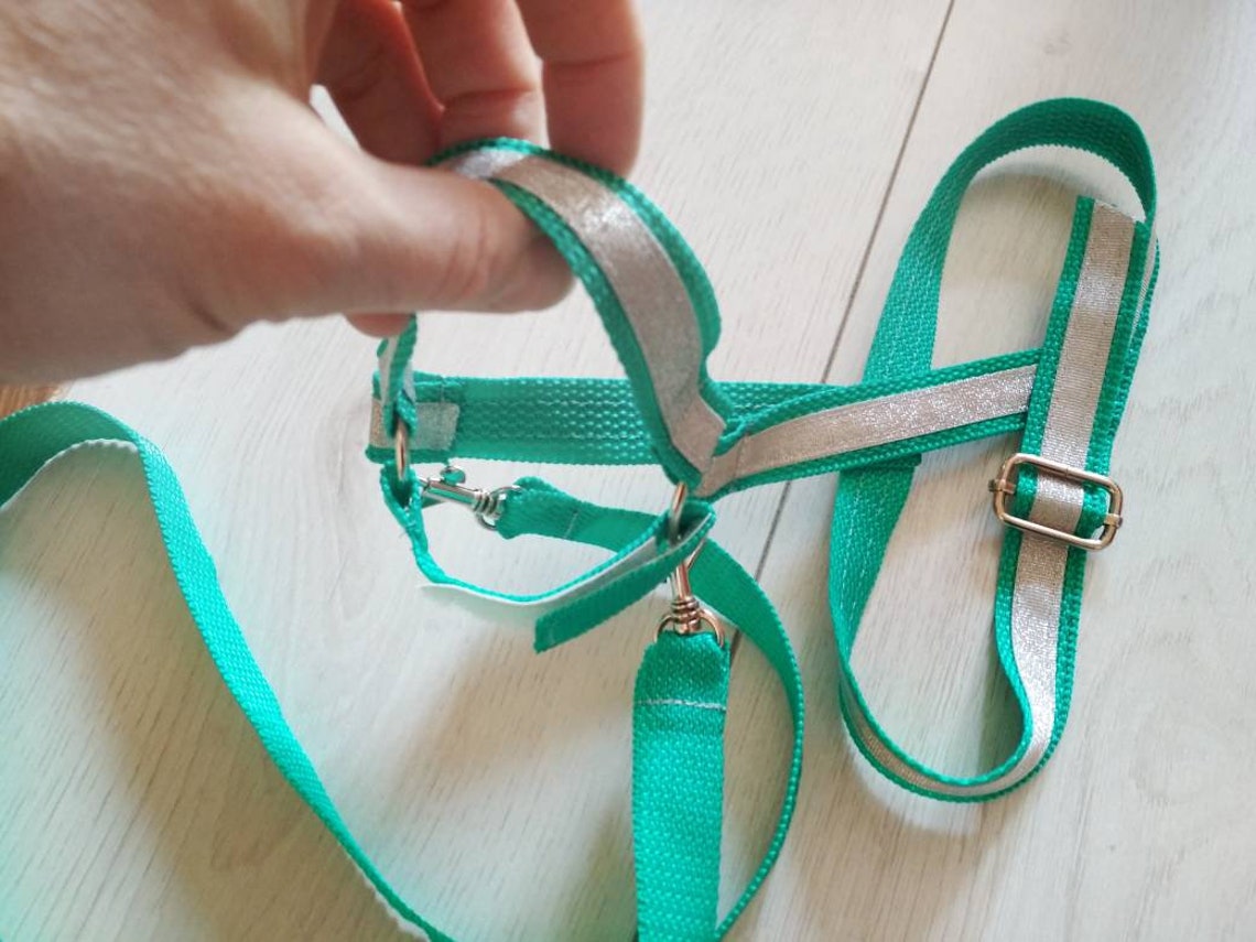 Hobby horse halter Hobby horse accessories Green and Etsy