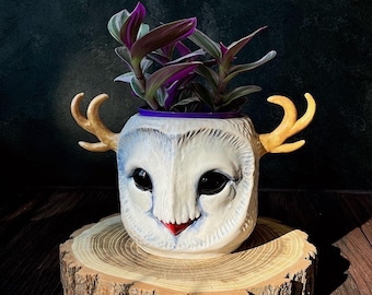 Ceramic Flower Pot Owl/Clay Barn Owl Planter/Bird Figurine Decoration/Indoor Planter/Clay Witch/Original Homeware/original gift for her