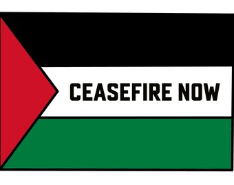PALESTINE DONATION POSTERS