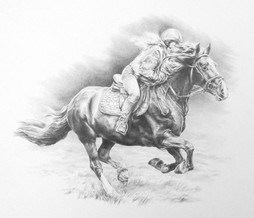 Horse and Rider Drawing commission - Etsy
