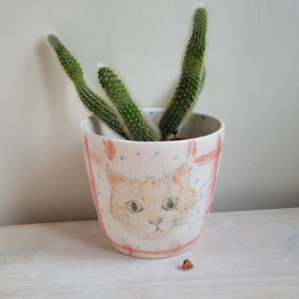 Handmade ceramic cat planter for succulent cactus plant lover with hand painted gingham check, pottery plant pot gift