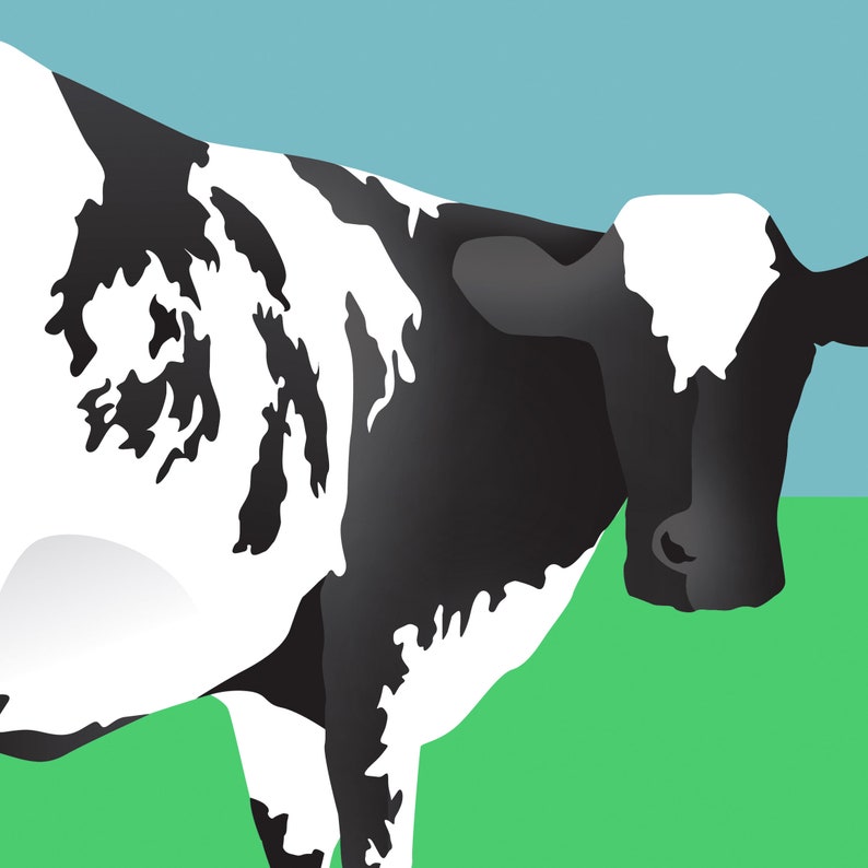 pink floyd atom heart mother suite artwork pink floyd atom heart mother suite artwork